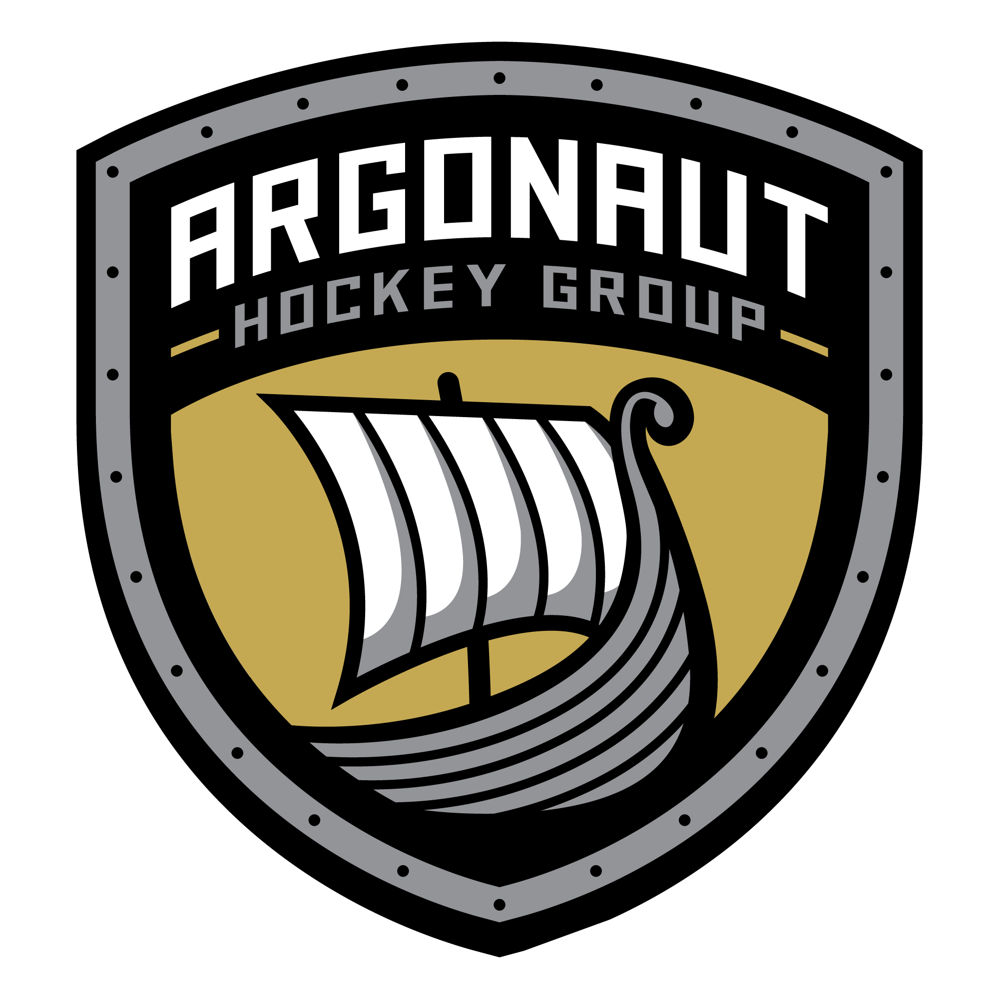 Logo for Argonaut Hockey Group